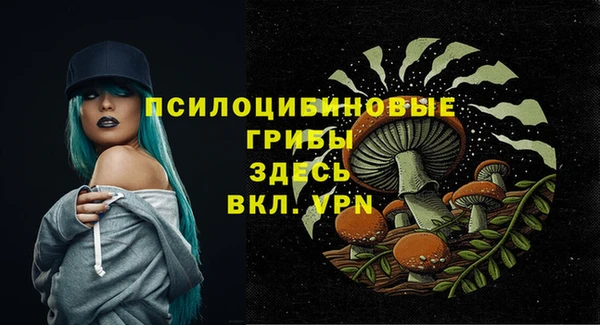 PSILOCYBIN Абдулино