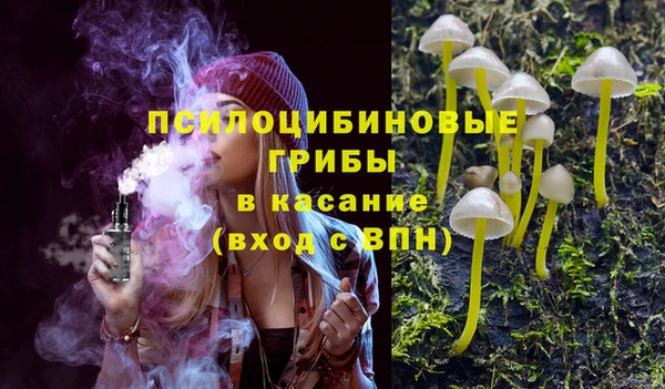 стафф Абаза