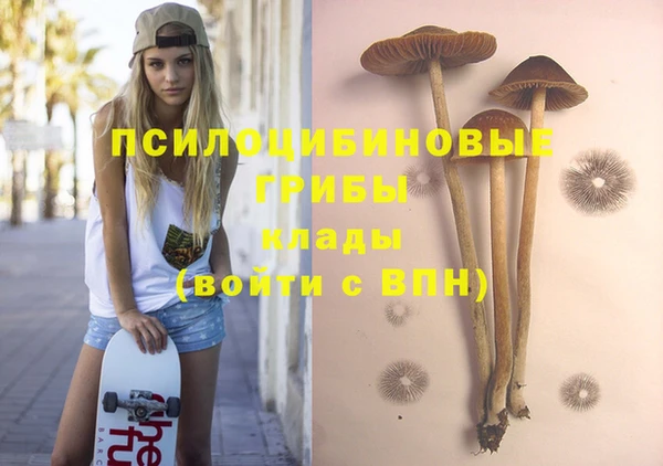 PSILOCYBIN Абдулино