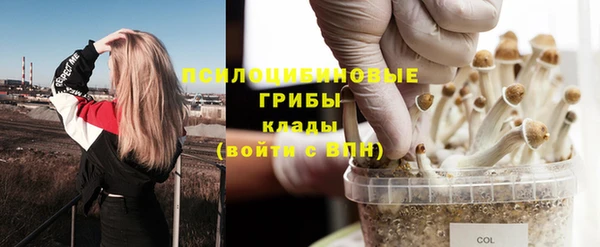 стафф Абаза