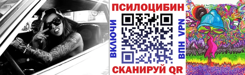 Галлюциногенные грибы GOLDEN TEACHER  omg ONION  Тарко-Сале  наркотики 